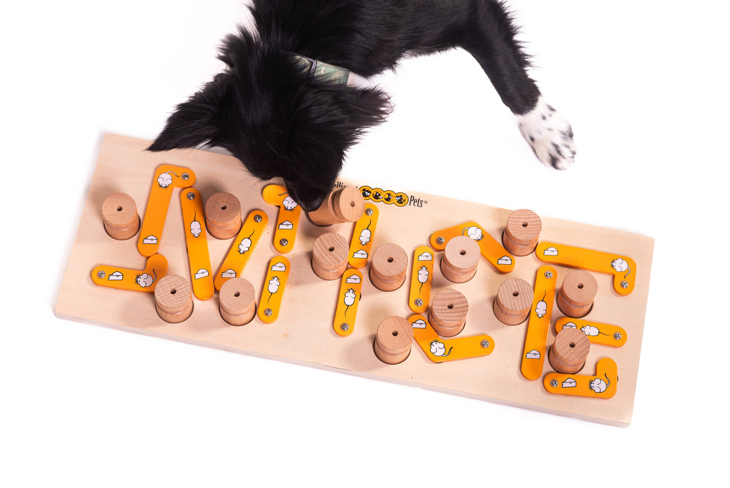 MICE - intelligent cat and dog puzzle toy