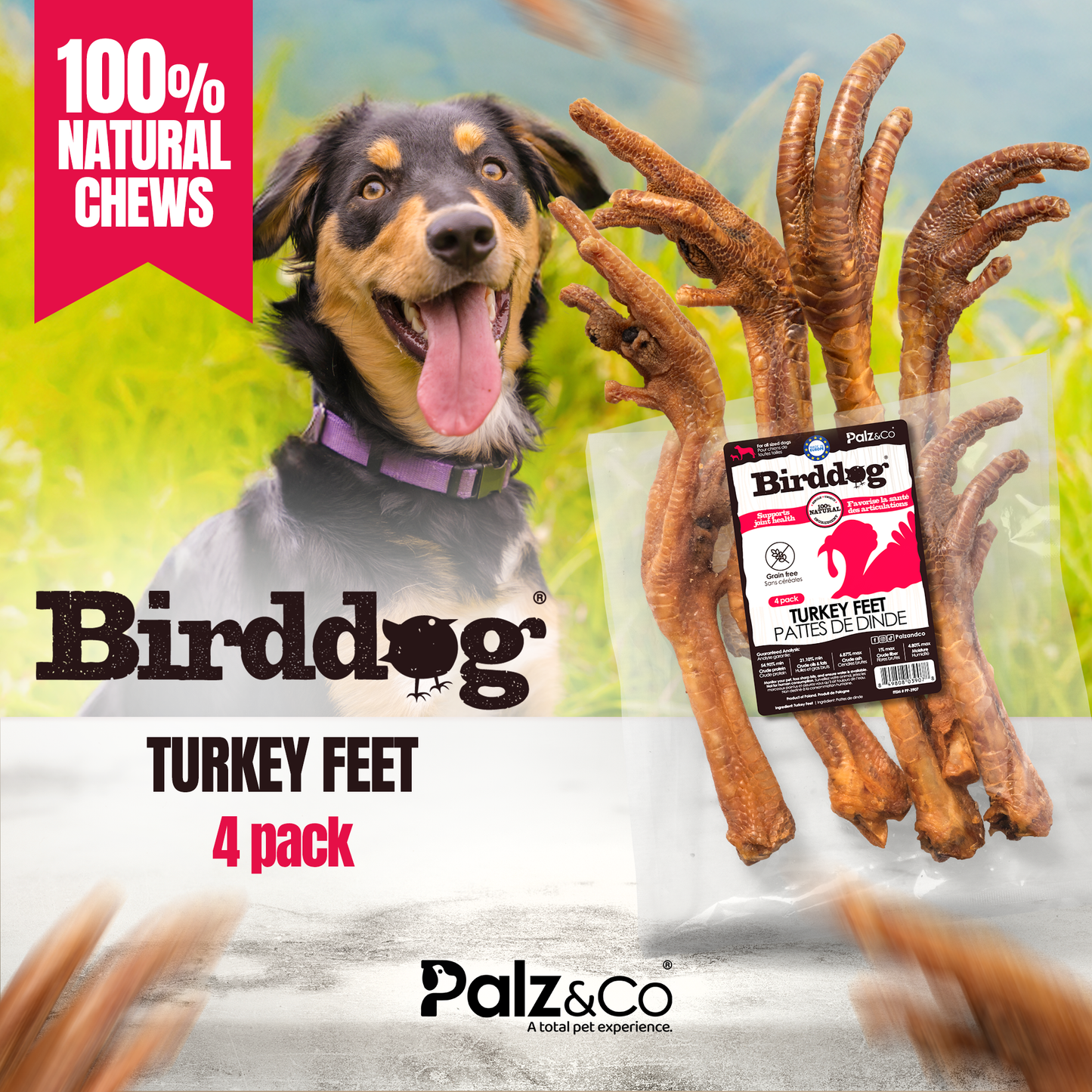 Birddog Turkey Feet - Pack of 4
