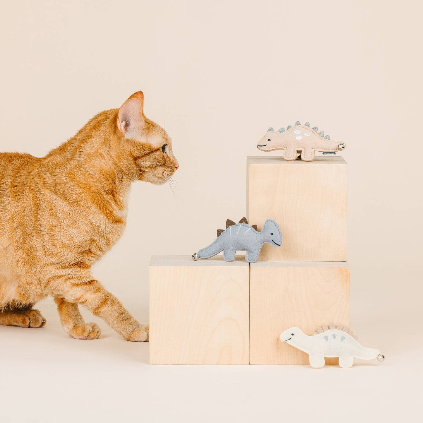 We're Adora-Saurable Mini Dinosaur Cat toy set of 3