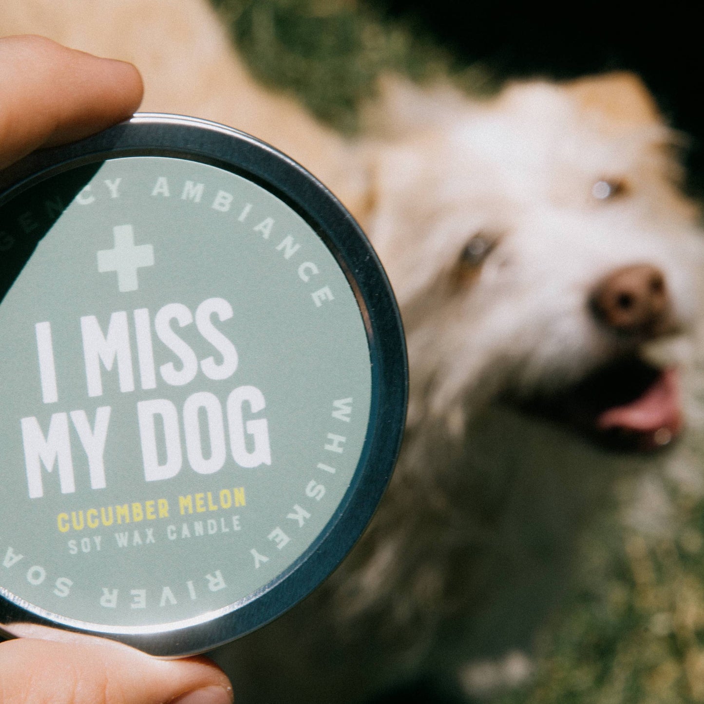 I Miss My Dog Emergency Ambiance Travel Tin | Funny Candle