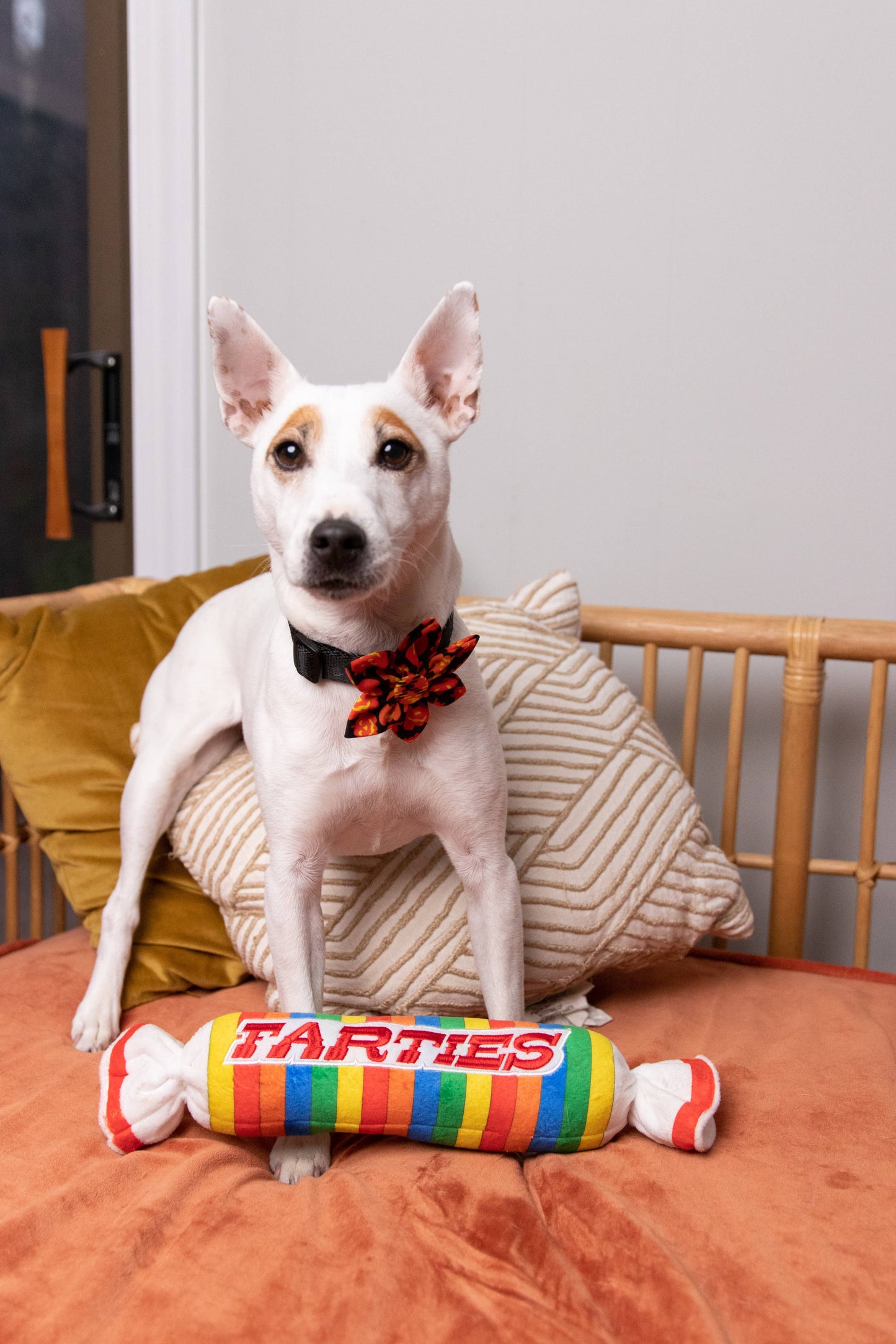 Farties Dog Toy