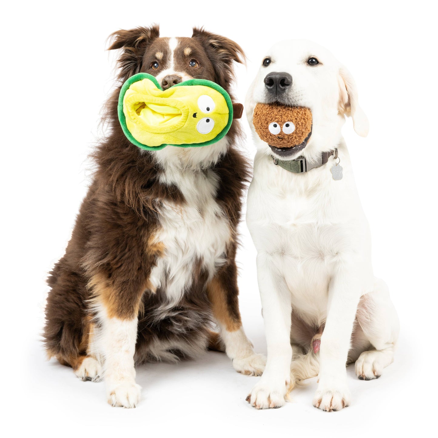Pop 'n Fetch Avocado Dog Toy