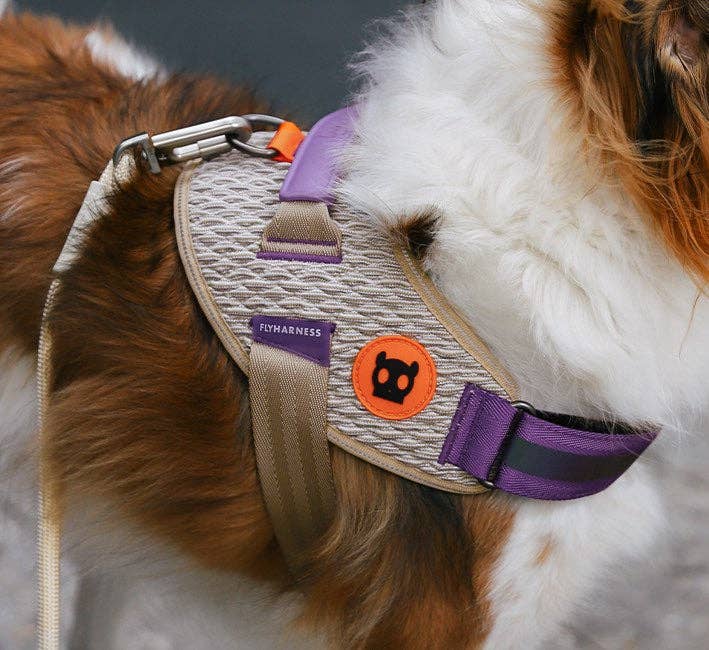 ACG | FlyHarness