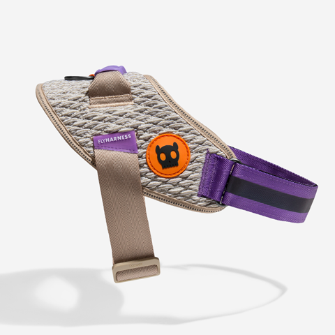 ACG | FlyHarness