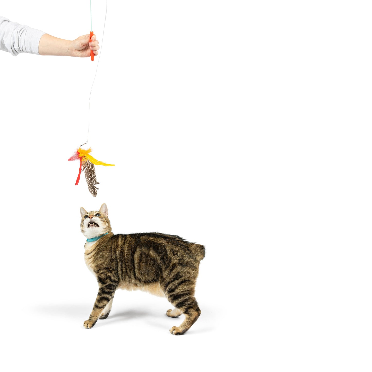 Teaser Hairball Whisky Cat Wand