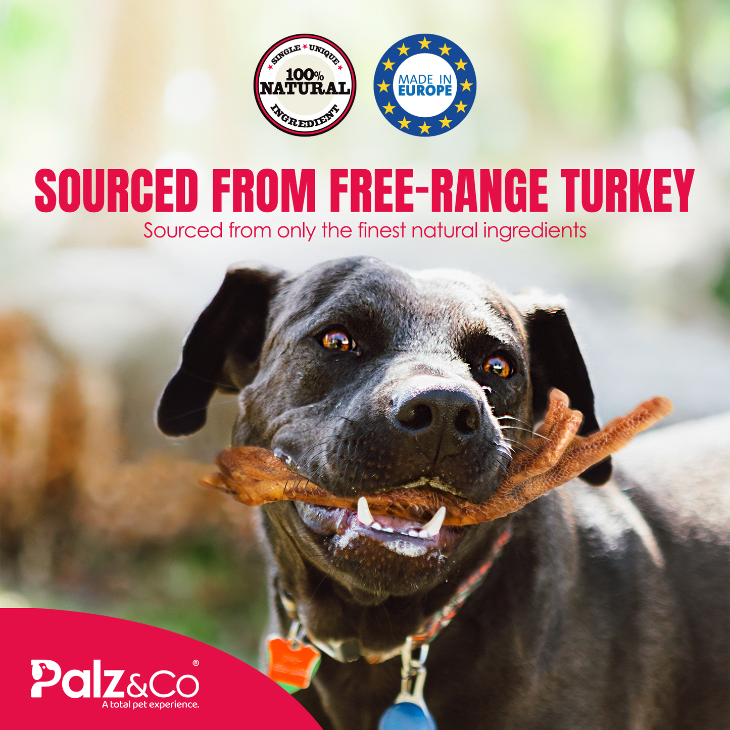 Birddog Turkey Feet - Pack of 4
