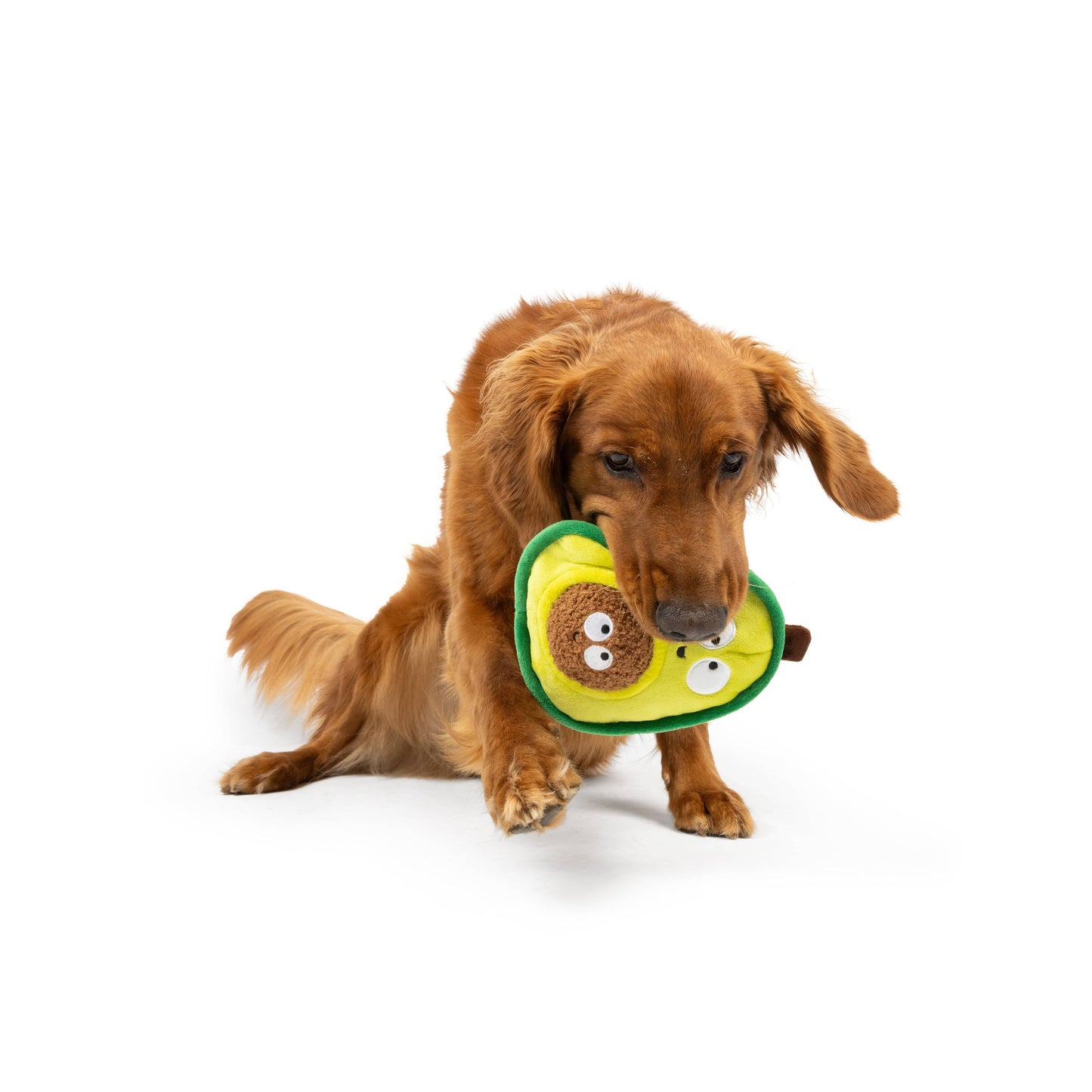 Pop 'n Fetch Avocado Dog Toy