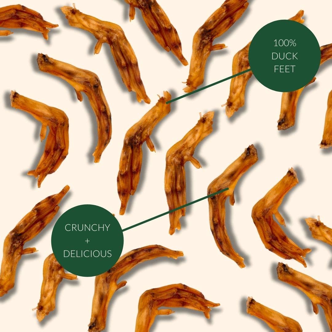 Duck Feet 40 Pack