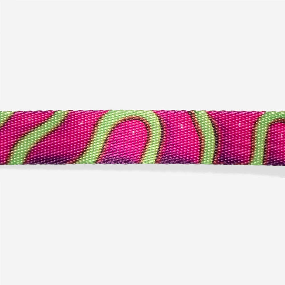 H3D Jelly | Cat Collar