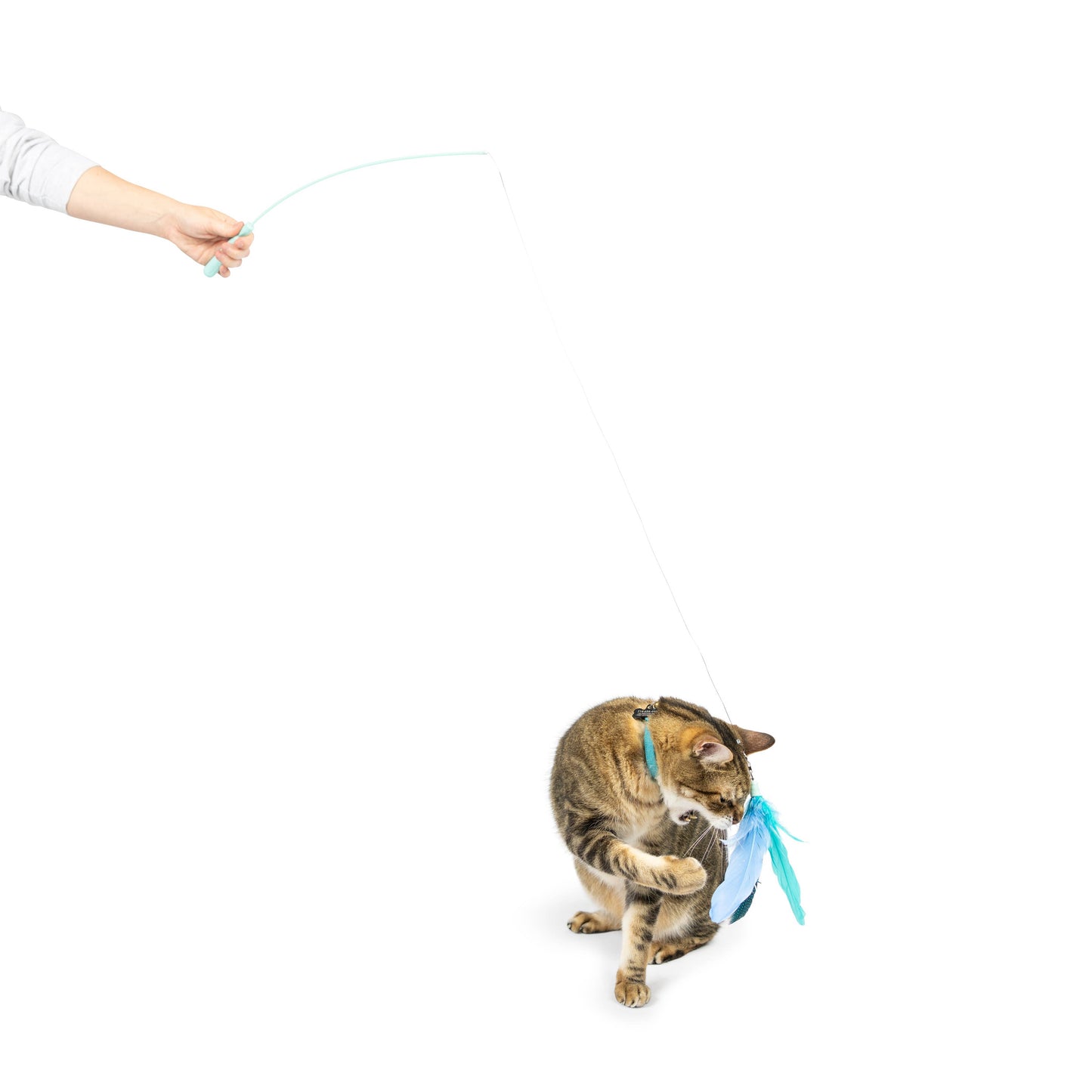 Teaser Kitty Loco Cat Wand