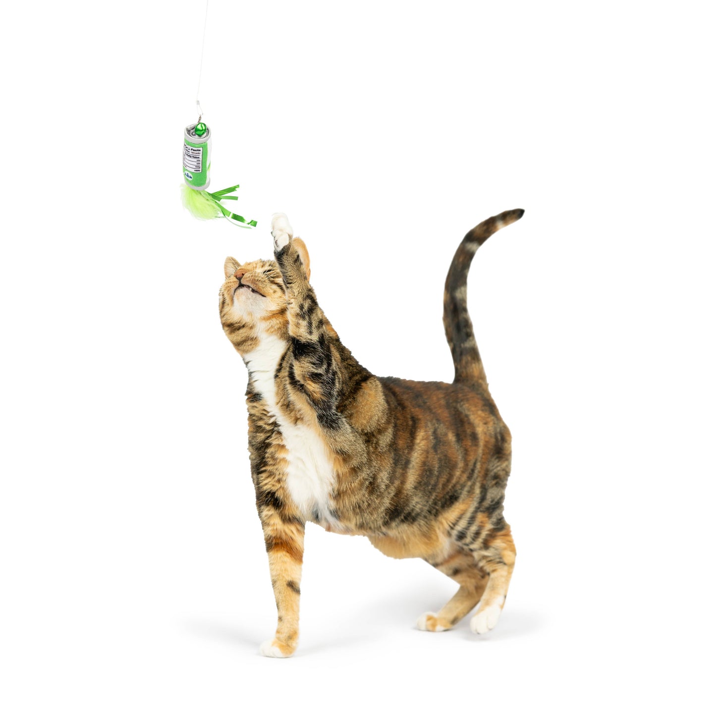 Kitty Klaw Lime Teasers 2pk Cat Wand Refill