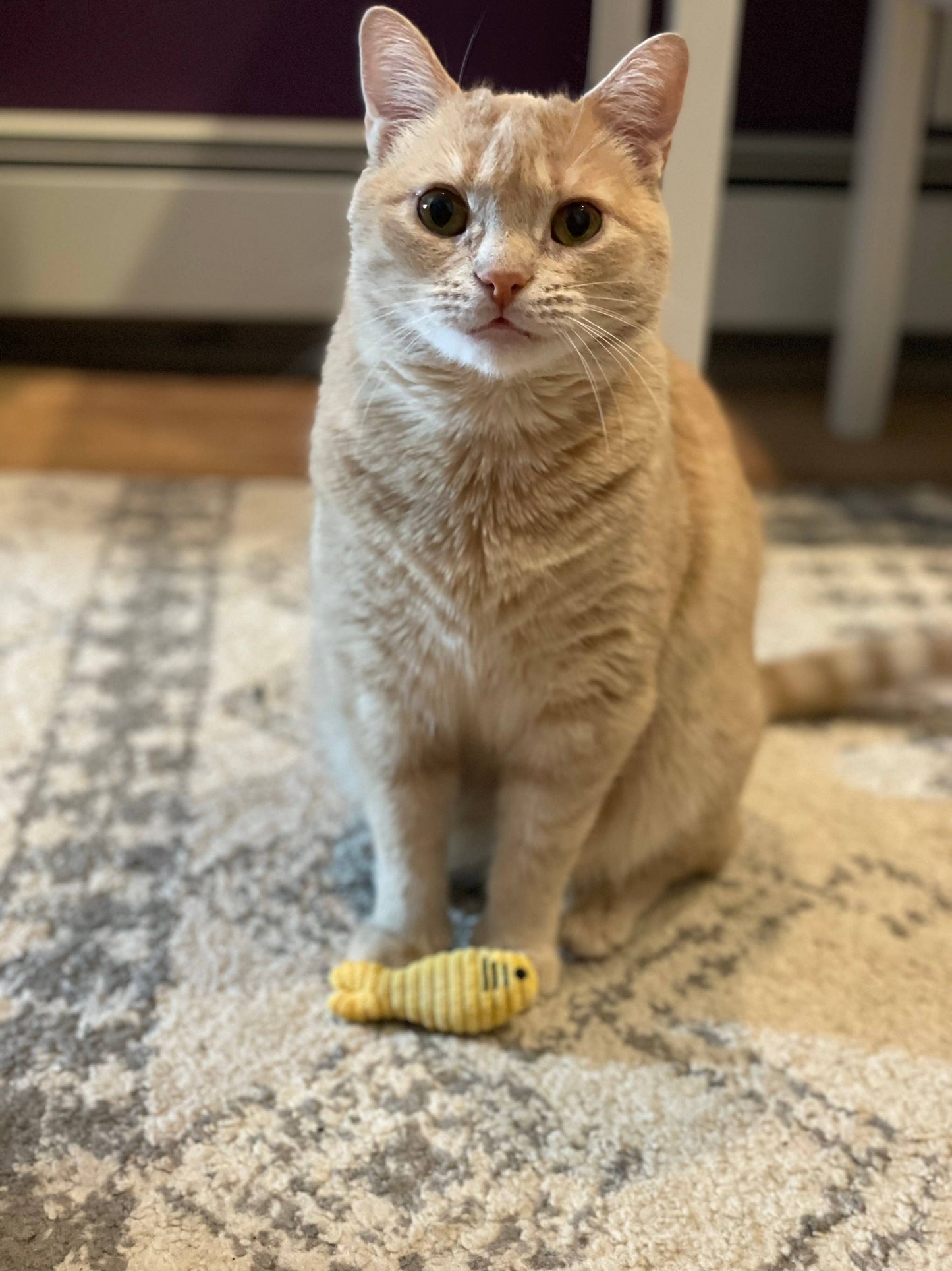 HuggleKats® Sardinies Cat Toys (3pk)