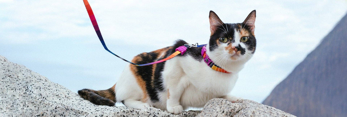 Prisma | Cat Harness with Leash