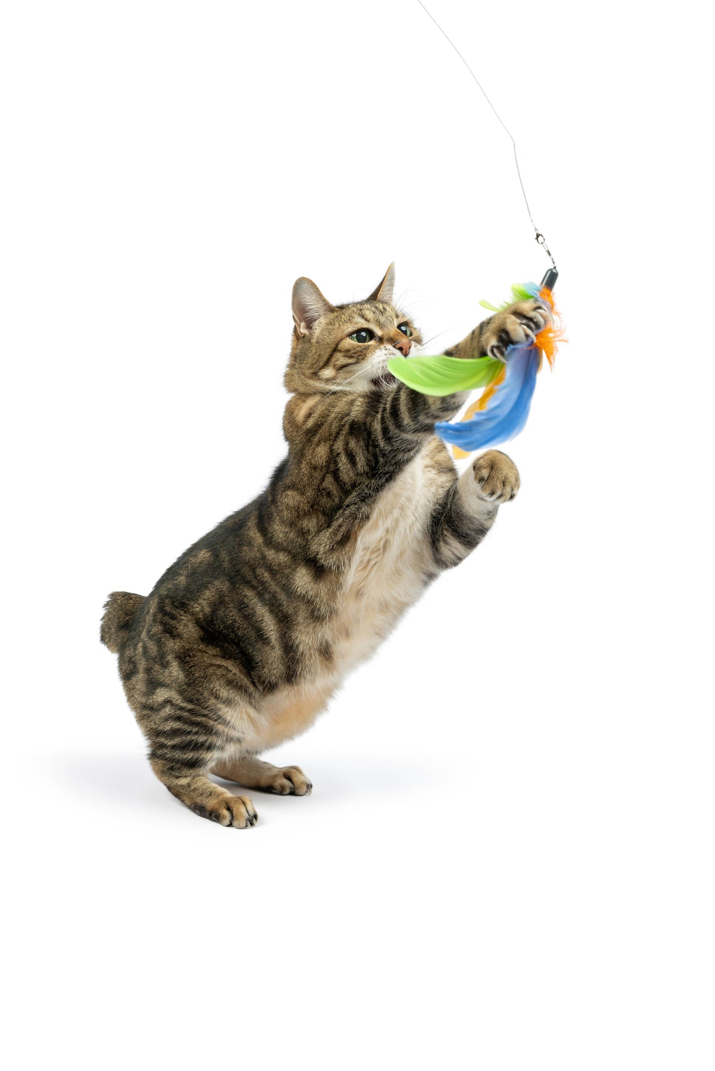 Teaser Sour Scratch Wand Cat Toy