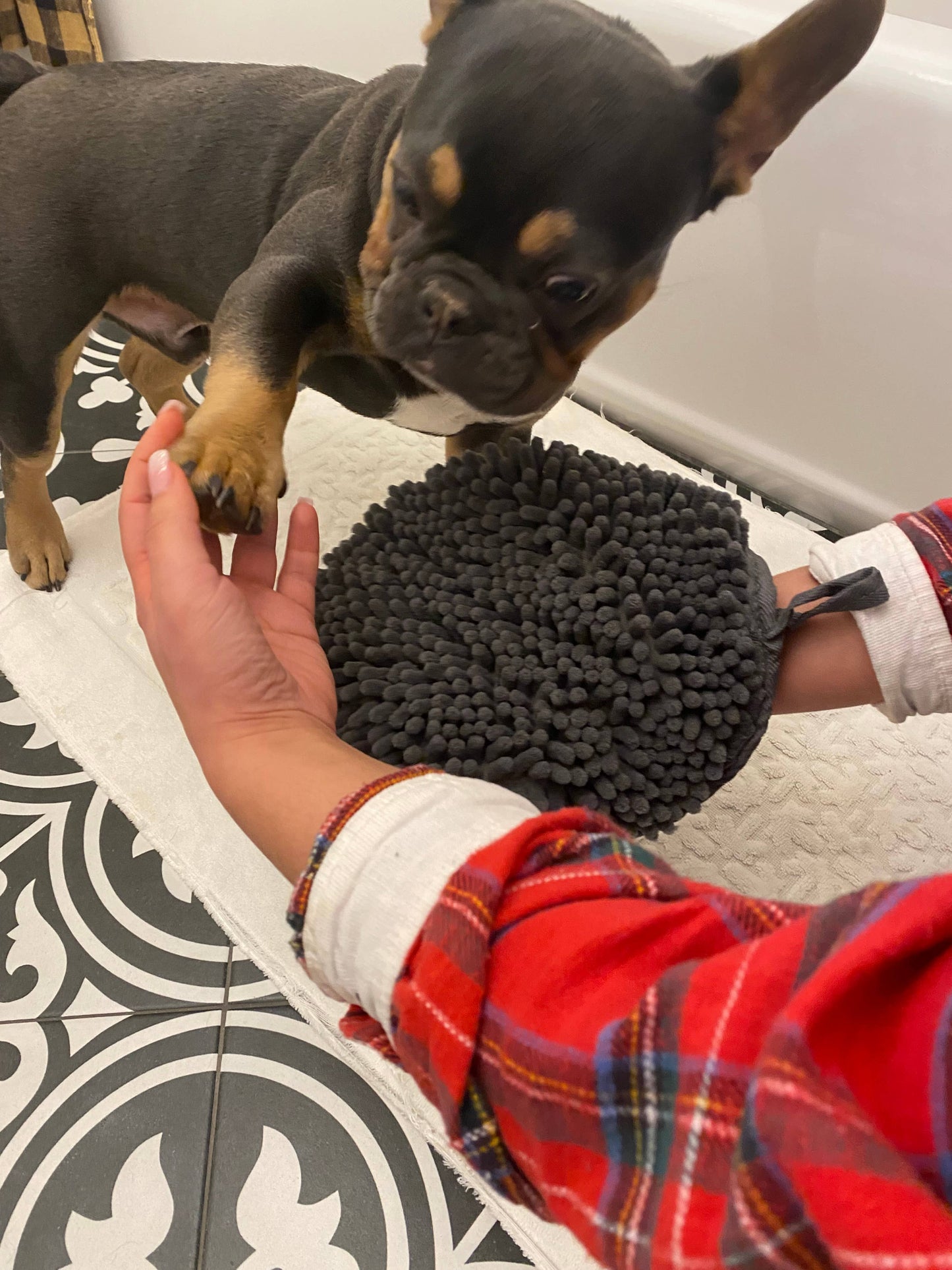 Grey Clean Paws Drying Mitt - 10"