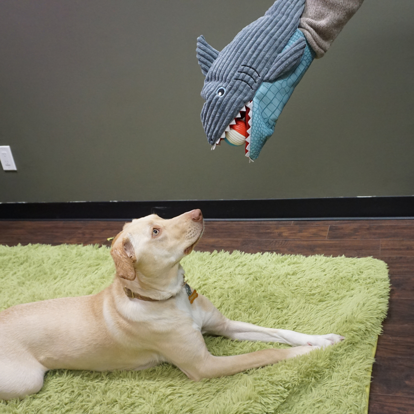 HuggleSnuffles™ Chomp & Chase — Finn Shark Puppet + Ruff-Tex® Beach Ball