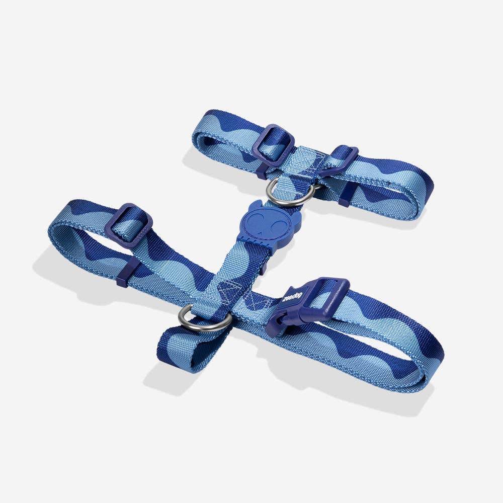 Swell | H Harness