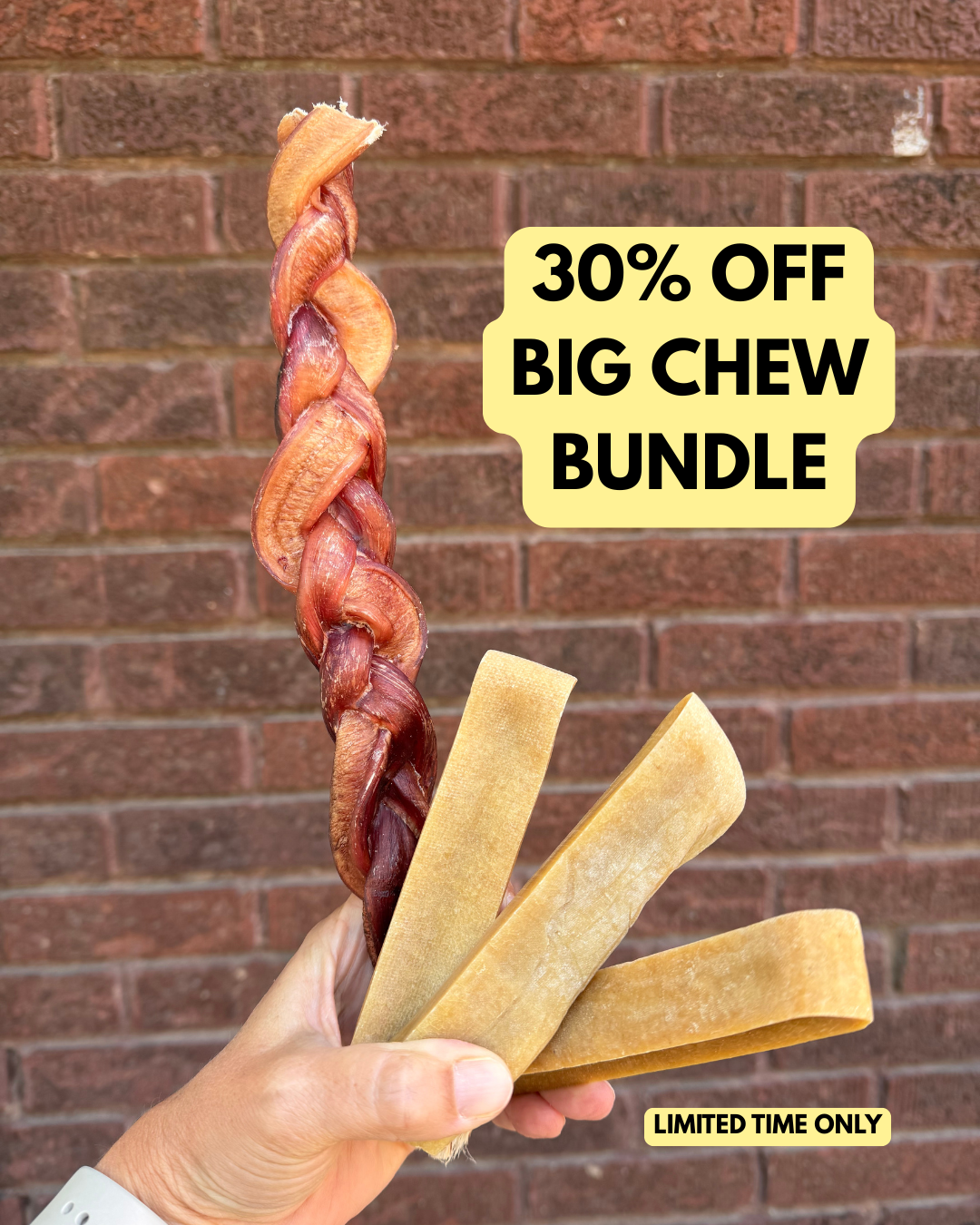Big Chew Bundle – Braided Bully Stick + Yak Cheese Sticks