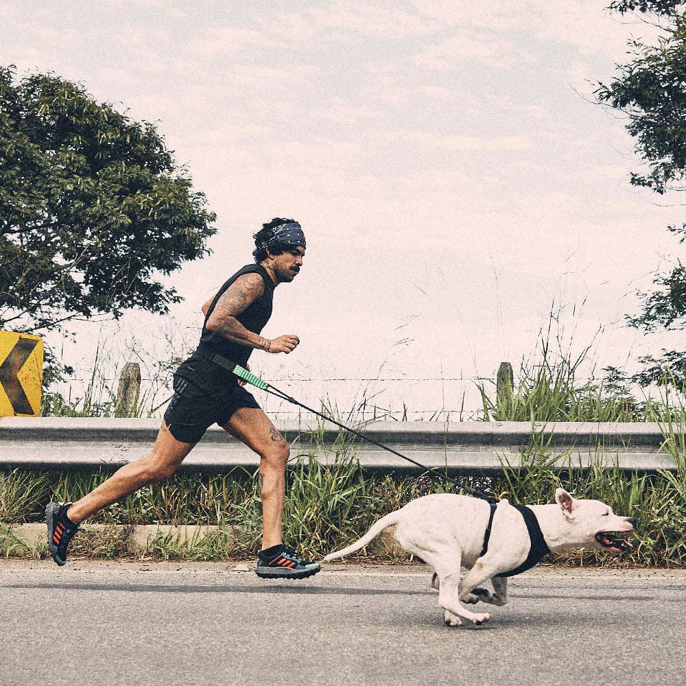 Running Belt | Zee.Run