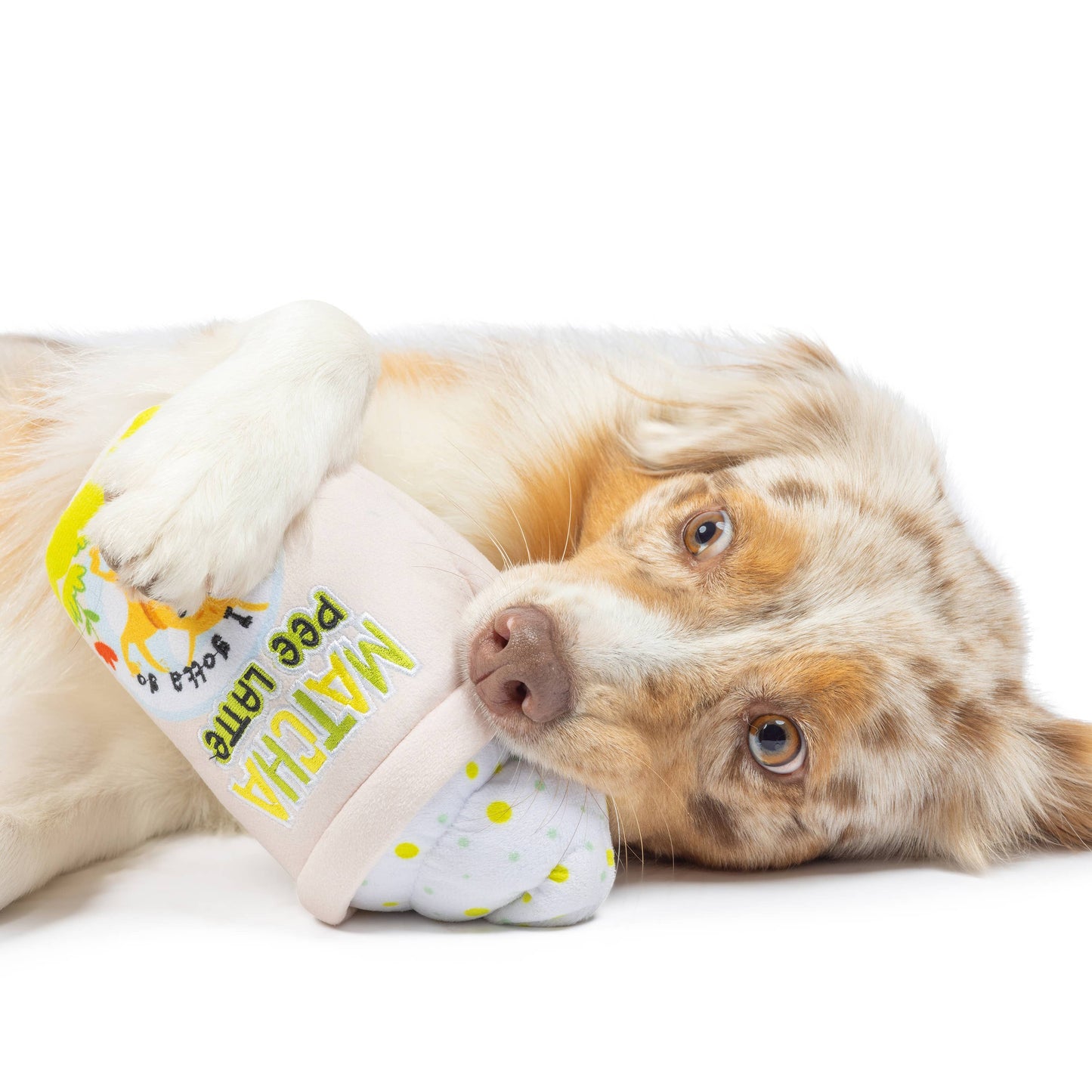 Matcha Pee Latte Dog Toy (Double Sided)