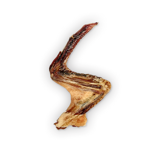 WS Duck Wings