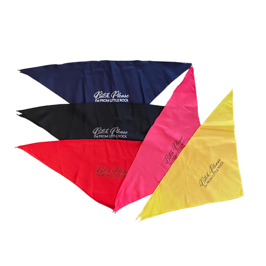 Bitch Please - I'm from Little Rock Dog Bandana