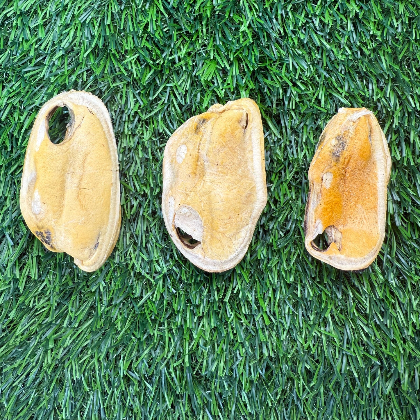 New Zealand Green-Lipped Mussel - Freeze-Dried