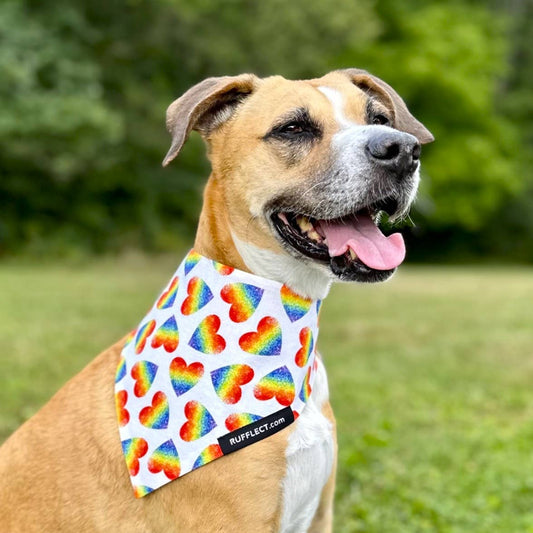 Rainbow Hearts RUFFLECT® Dog Bandana