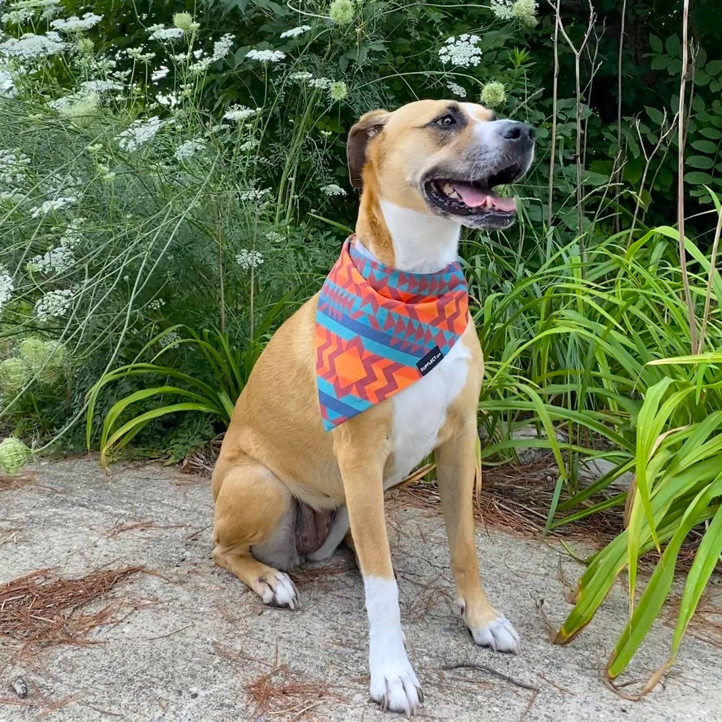Navajo RUFFLECT® Dog Bandana