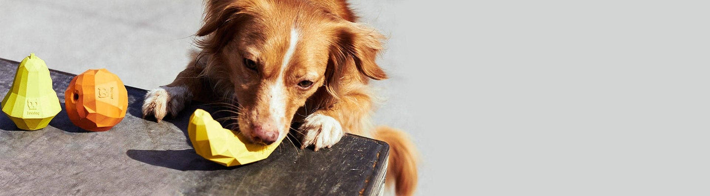 Super Banana | Dog Toy