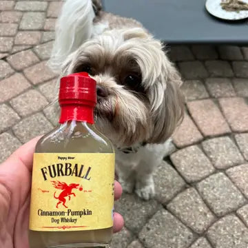 Furball Dog Whiskey Mini 100 mL Pumpkin-Cinnamon