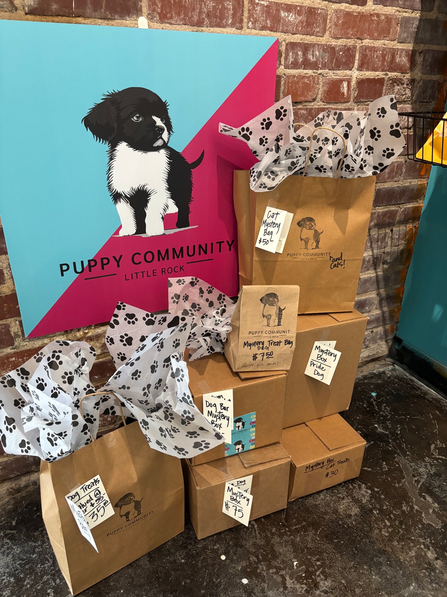 Mystery Box - Bar Dog