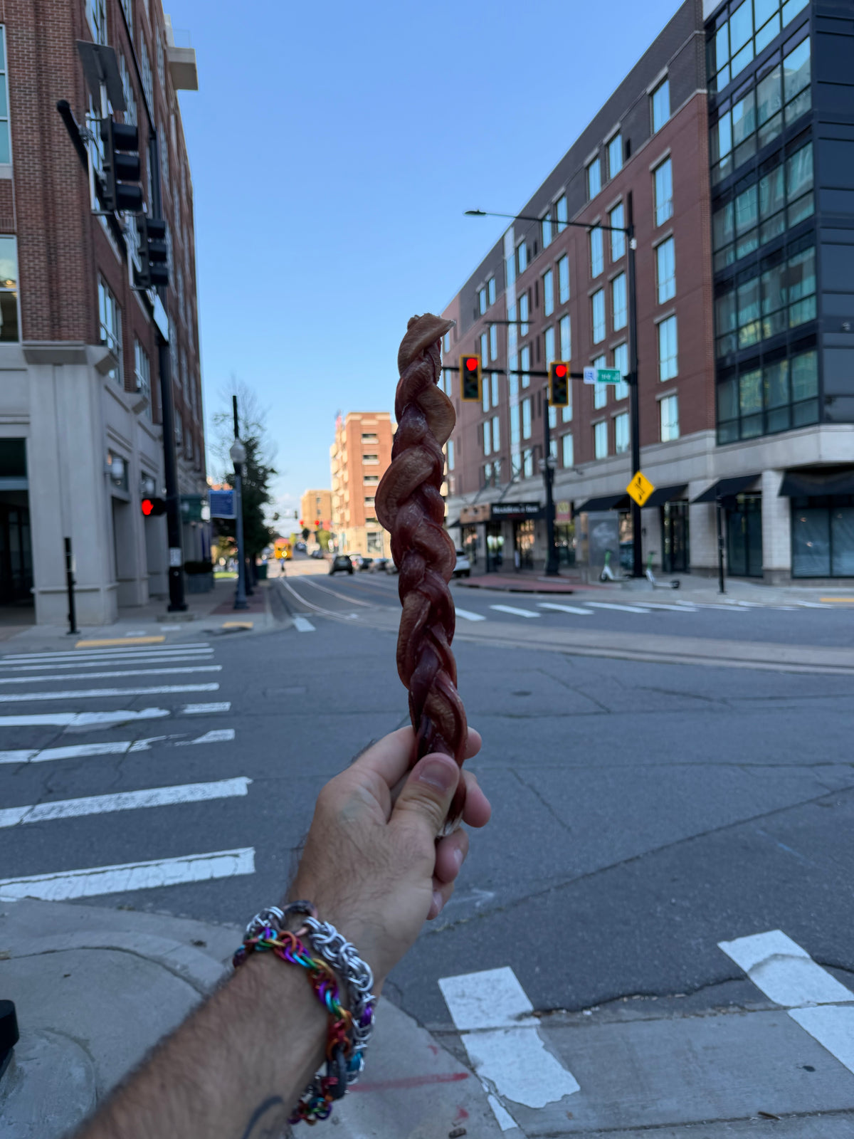 Big Chew Bundle – Braided Bully Stick + Yak Cheese Sticks