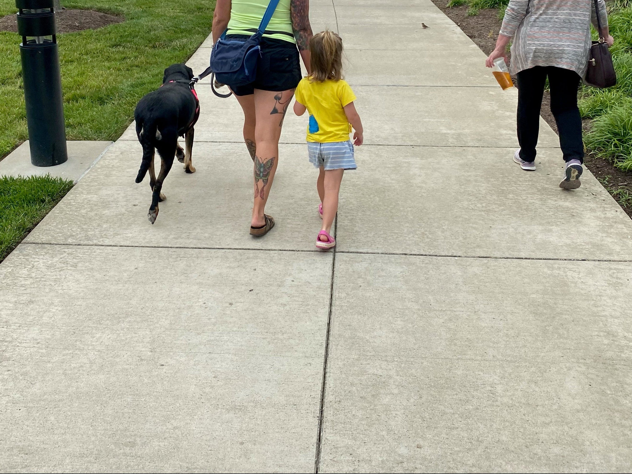 Two women and a child walking a dog on a sidewalk in a park-like setting.