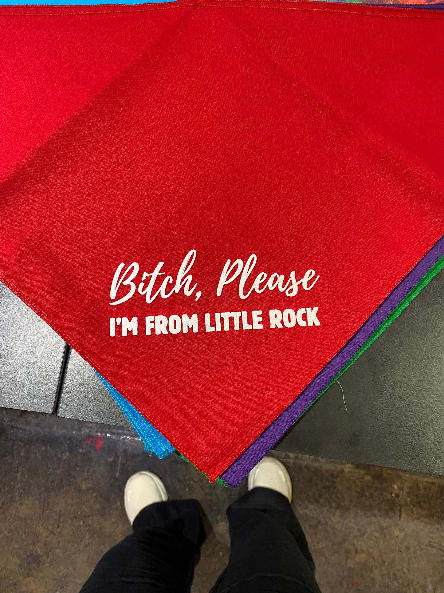 Bitch Please - I'm from Little Rock Dog Bandana