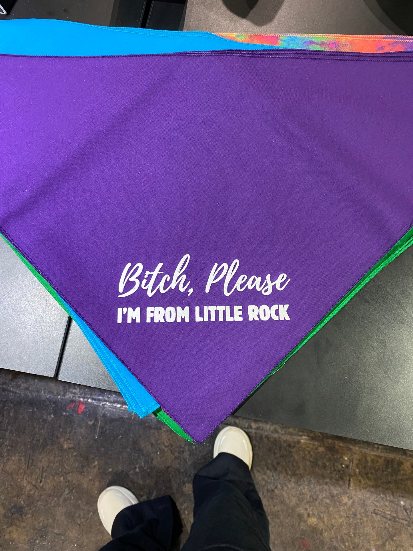 Bitch Please - I'm from Little Rock Dog Bandana