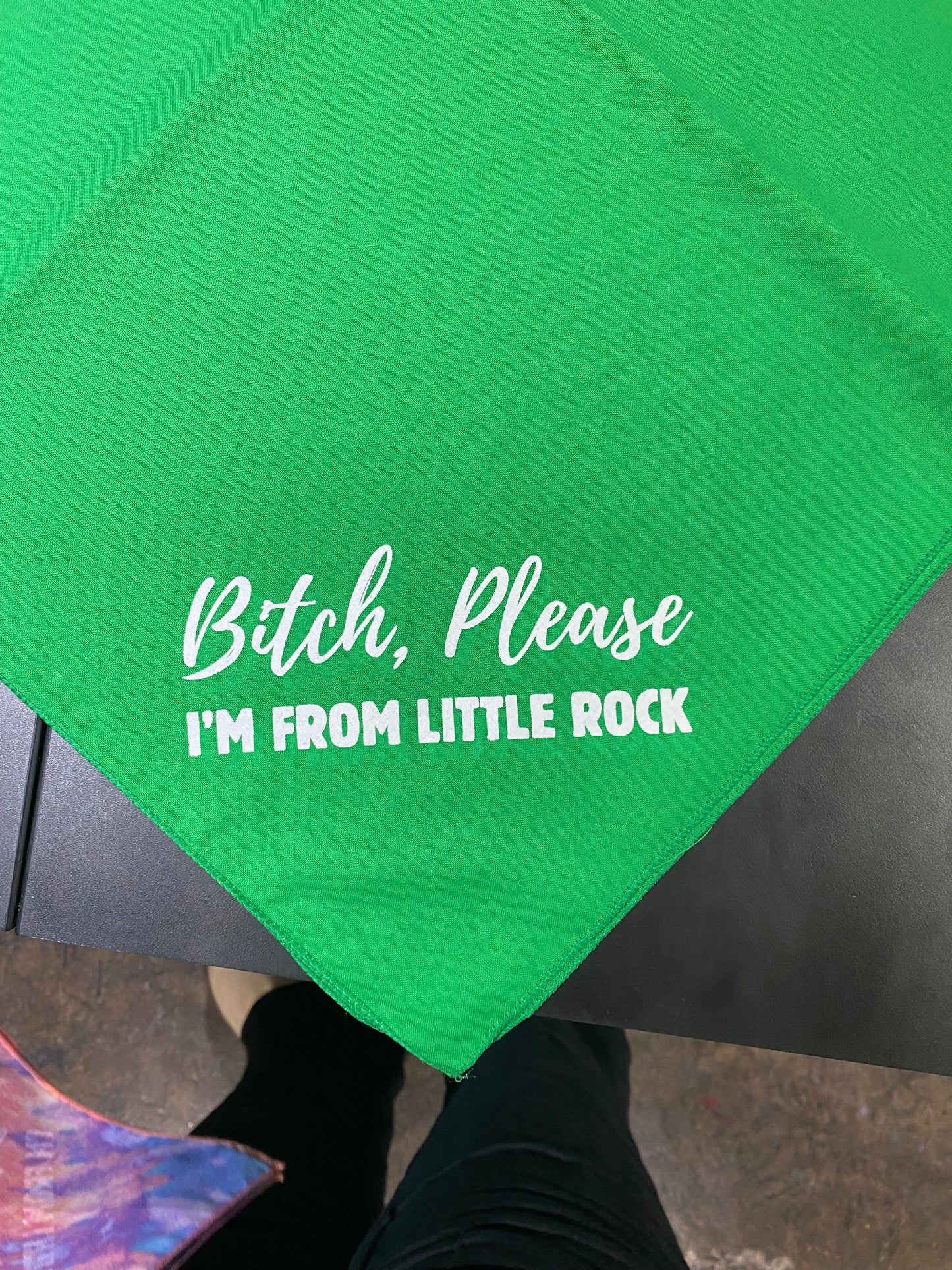 Bitch Please - I'm from Little Rock Dog Bandana