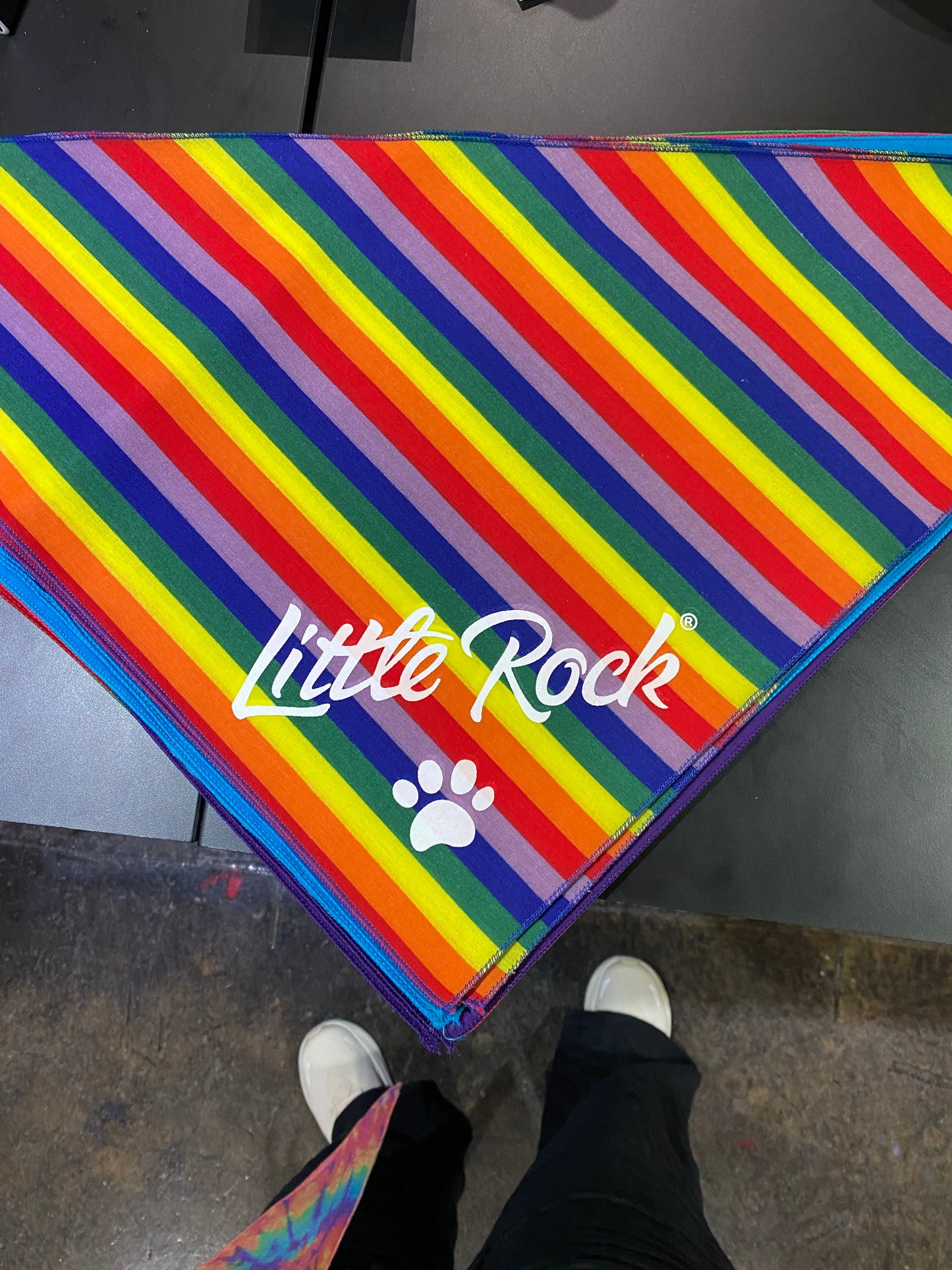 Little Rock Dog Bandana