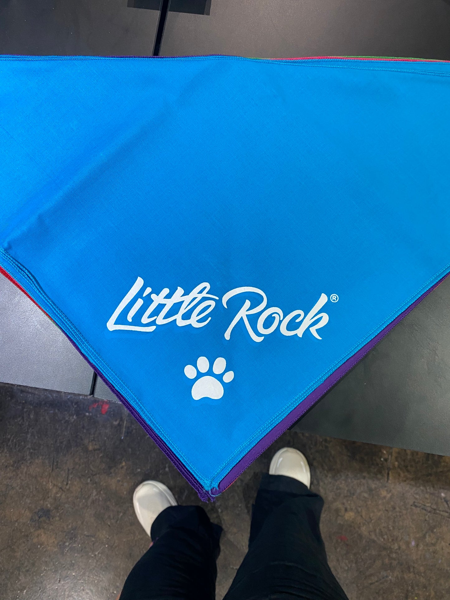 Little Rock Dog Bandana