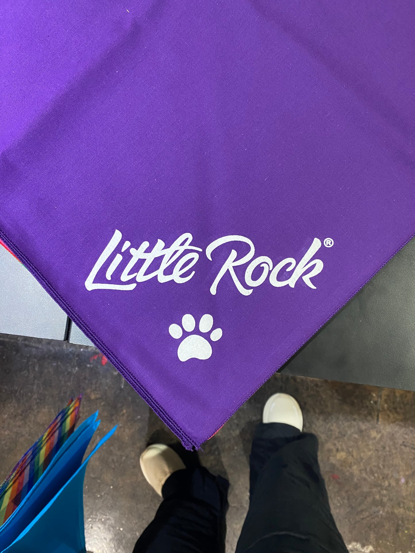 Little Rock Dog Bandana