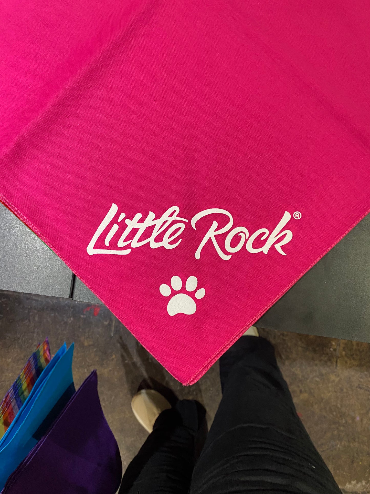 Little Rock Dog Bandana