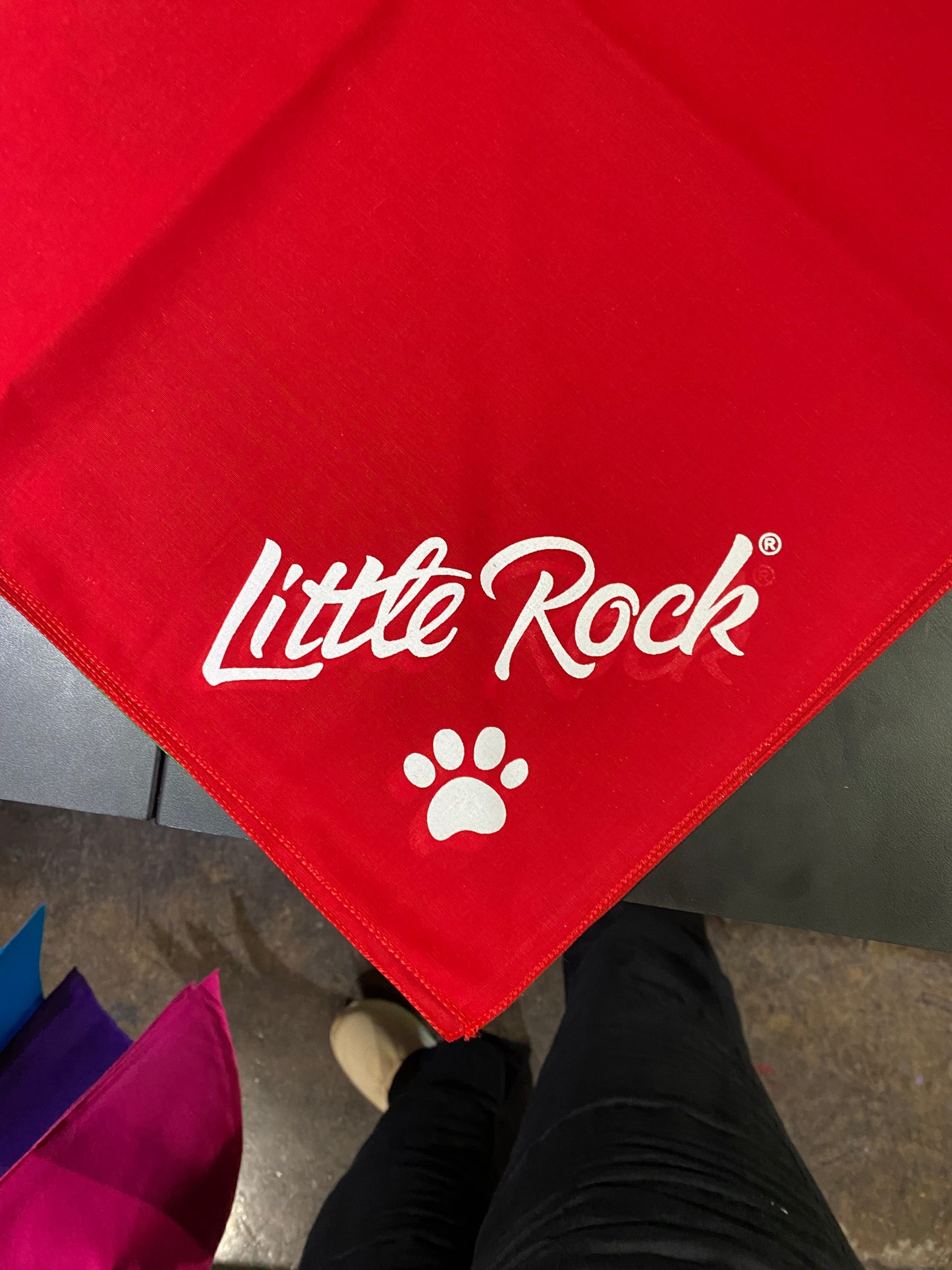 Little Rock Dog Bandana