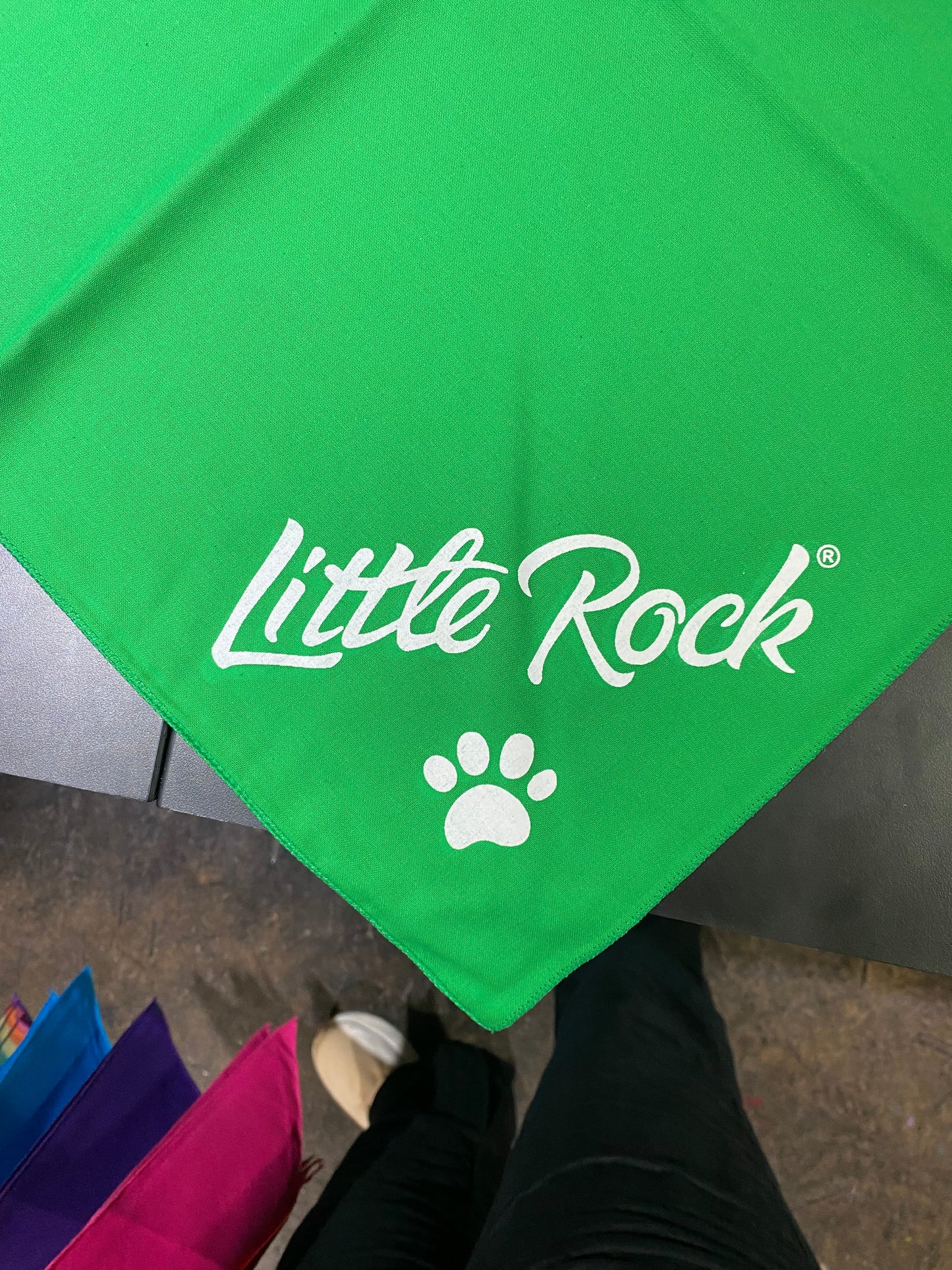 Little Rock Dog Bandana