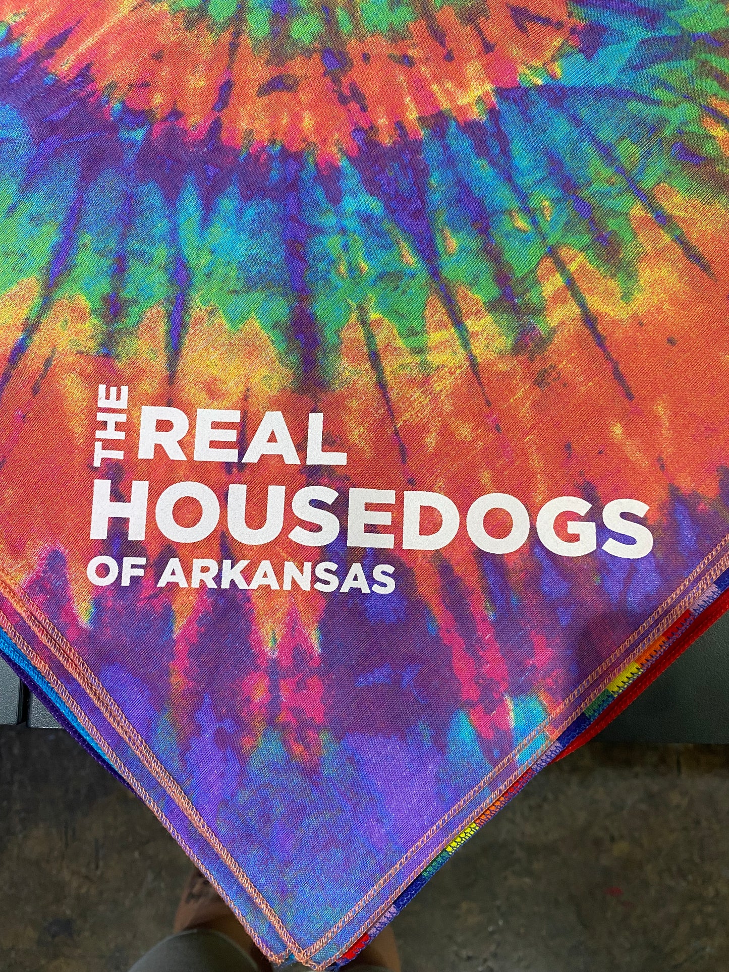 The Real House Dogs of Arkansas Dog Bandana
