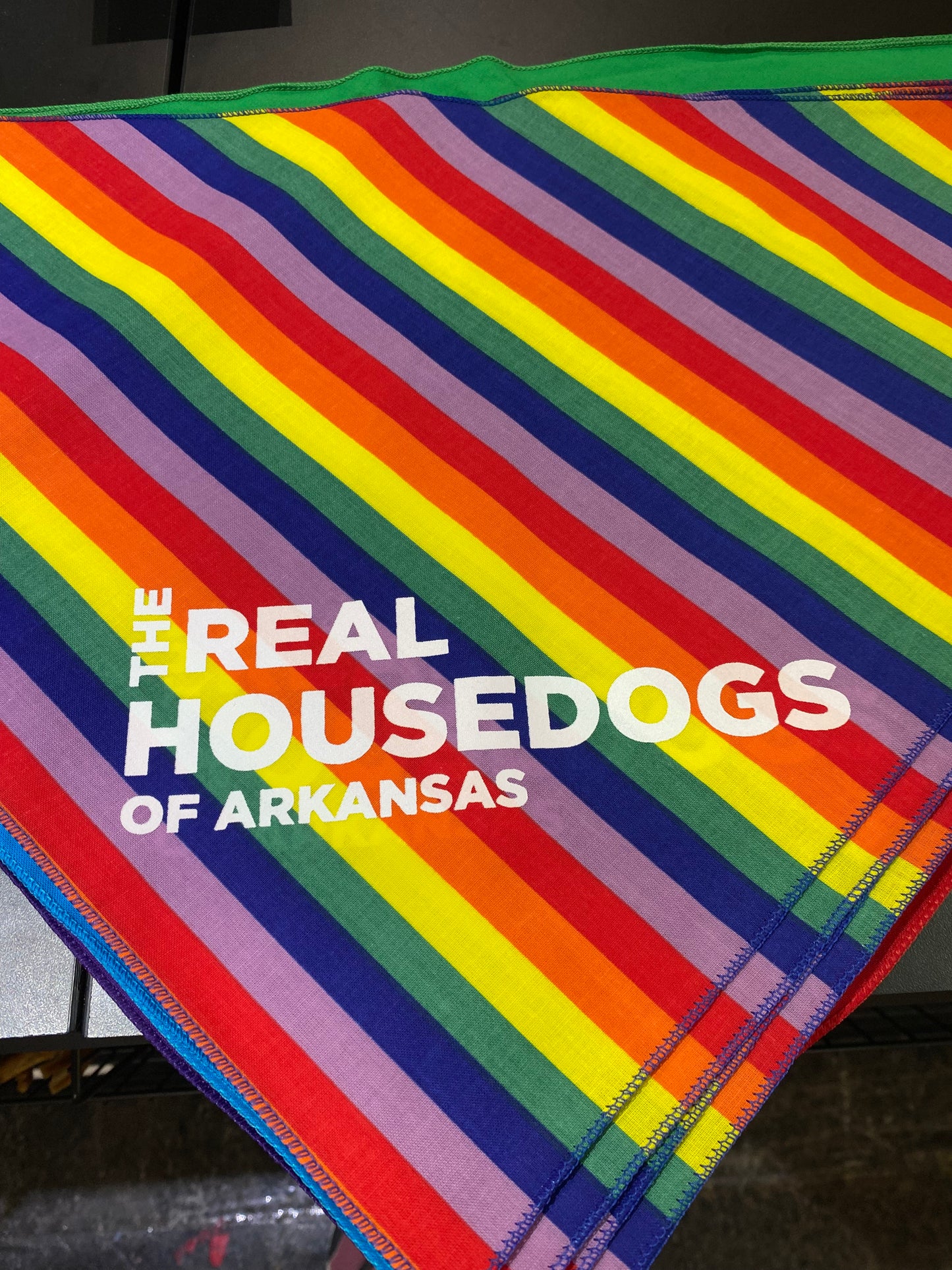 The Real House Dogs of Arkansas Dog Bandana