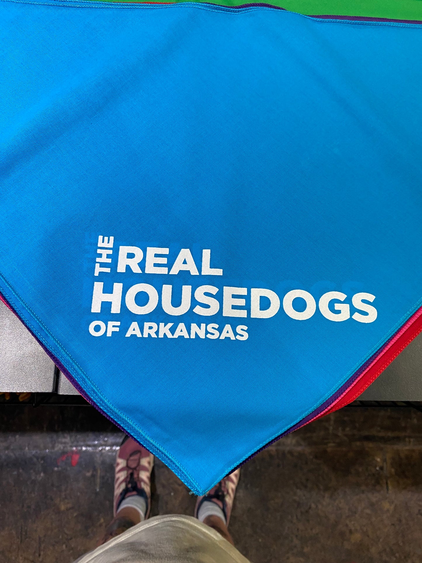 The Real House Dogs of Arkansas Dog Bandana