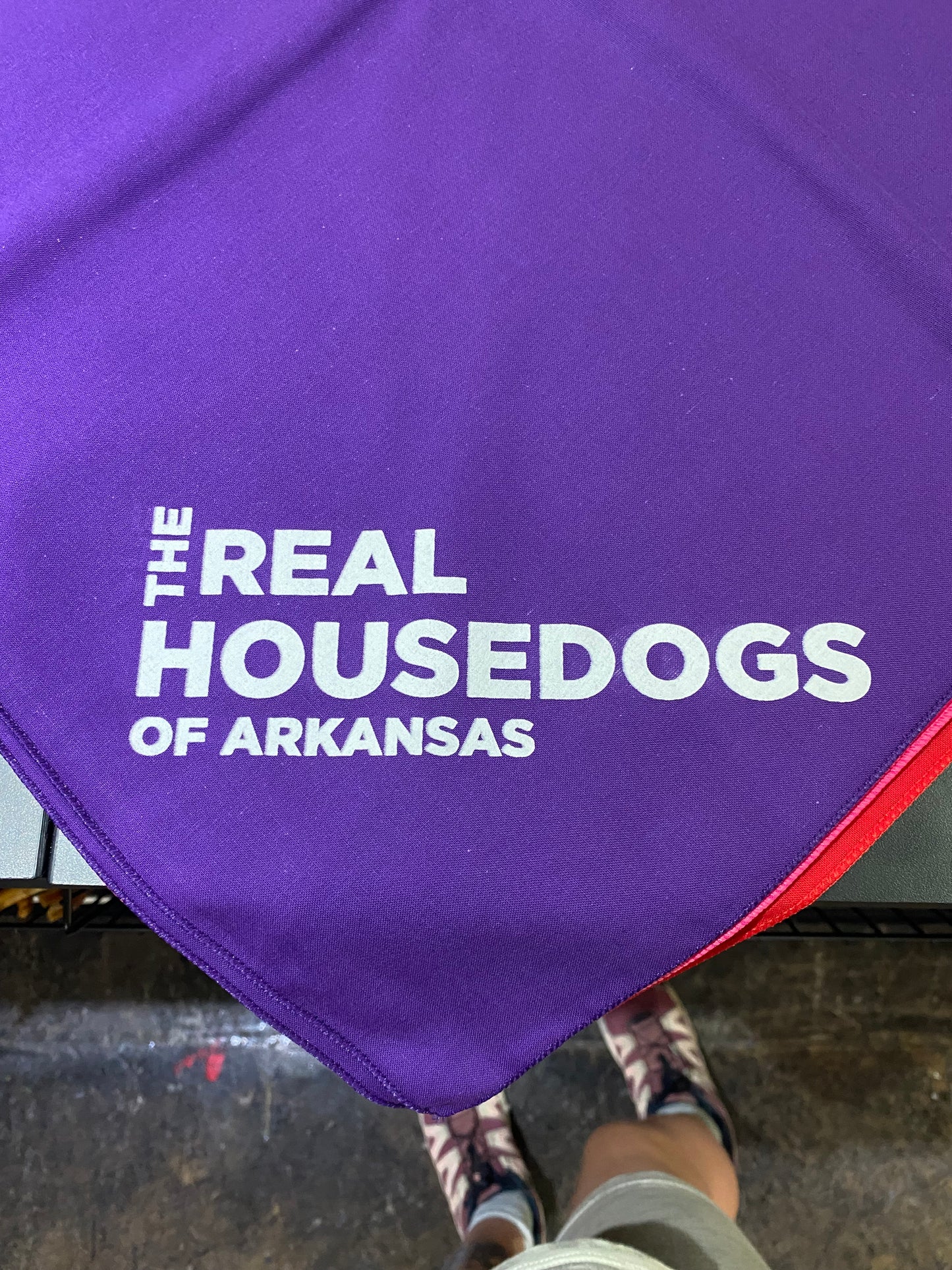 The Real House Dogs of Arkansas Dog Bandana