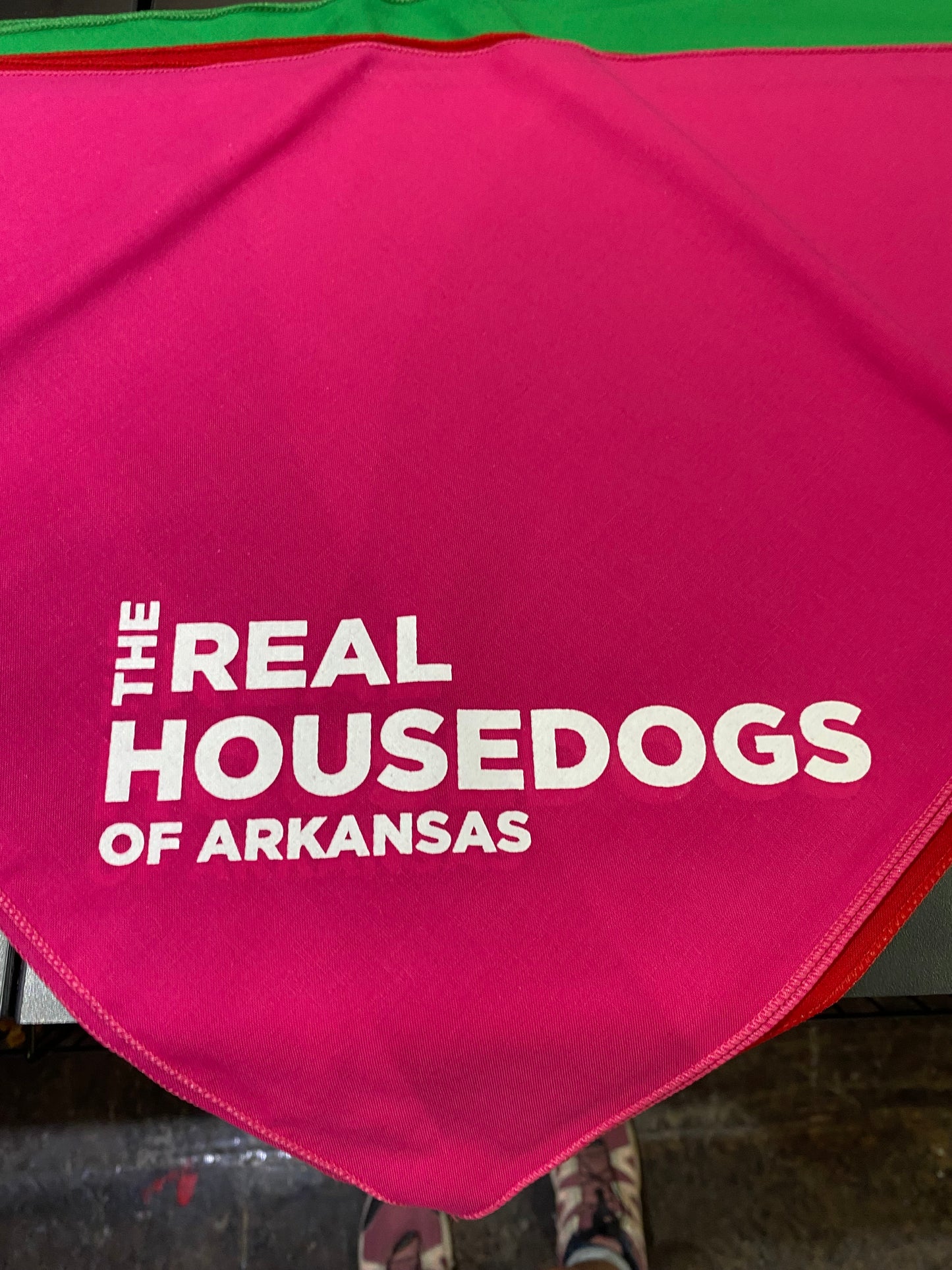 The Real House Dogs of Arkansas Dog Bandana