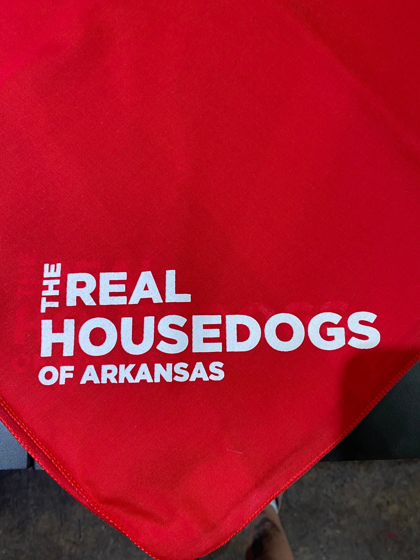 The Real House Dogs of Arkansas Dog Bandana