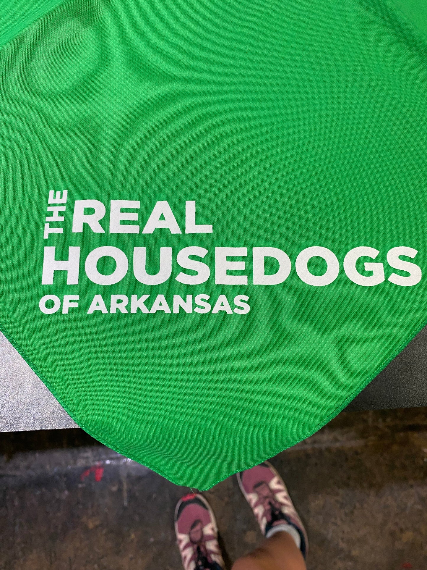 The Real House Dogs of Arkansas Dog Bandana